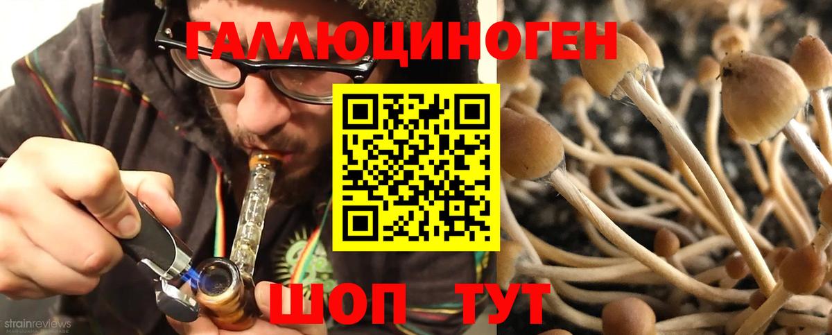 Псилоцибиновые грибы мицелий  Вход с VPN  Изобильный 