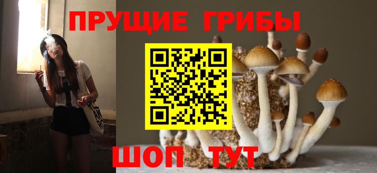 Галлюциногенные грибы мухоморы Изобильный